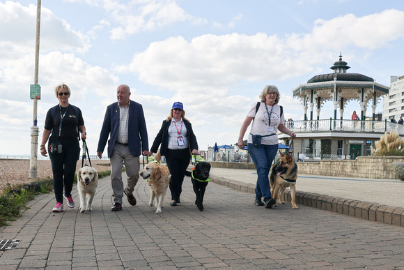 Liberal Democrat MP Steve Darling meets trainee Guide Dogs