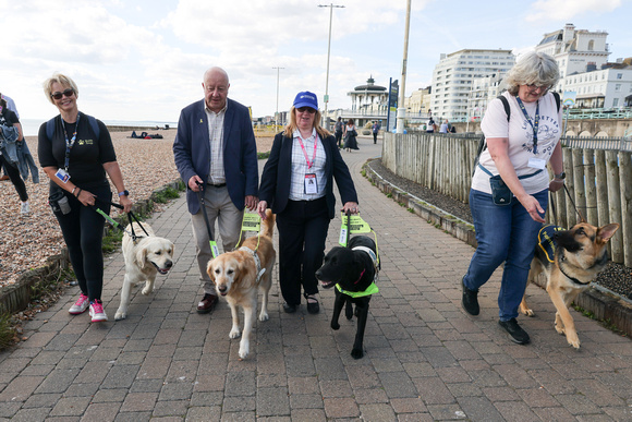 Liberal Democrat MP Steve Darling meets trainee Guide Dogs