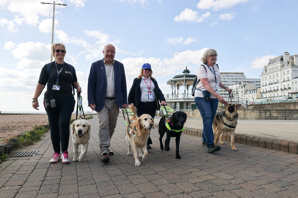 Liberal Democrat MP Steve Darling meets trainee Guide Dogs