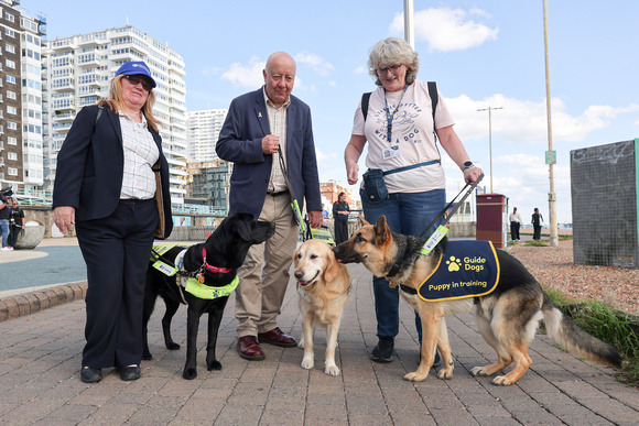 Liberal Democrat MP Steve Darling meets trainee Guide Dogs