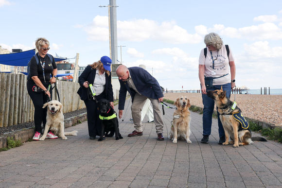 Liberal Democrat MP Steve Darling meets trainee Guide Dogs